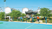 乡村娱乐,体验田园风光中的欢乐时光