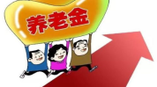 养老保险金,保障晚年生活，构建和谐社会的坚实基石